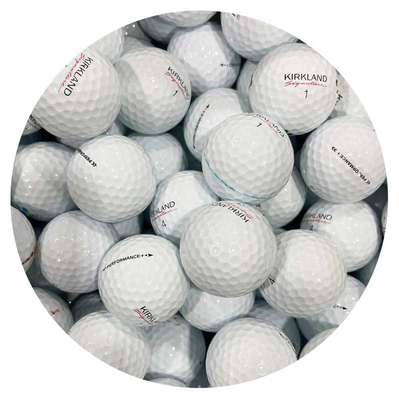MAXFLI (Assorted) - 1 Dozen